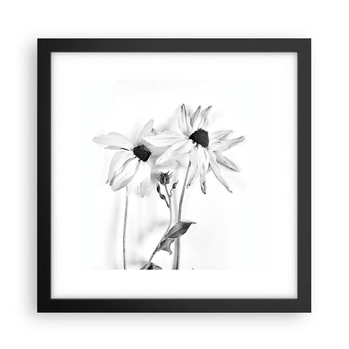 Pôster com moldura preta - Ninguém quer estar sozinho - 30x30 cm