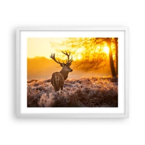 Pôster em moldura branca - Rei da floresta de outono - 50x40 cm