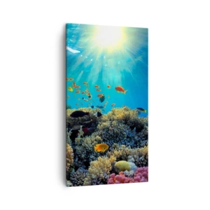 Quadro em tela - Tesouros subaquáticos - 45x80 cm