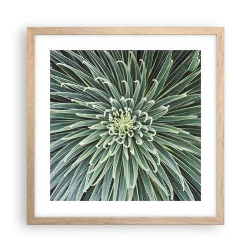 Pôster com moldura de carvalho claro - Nasce uma estrela - 40x40 cm