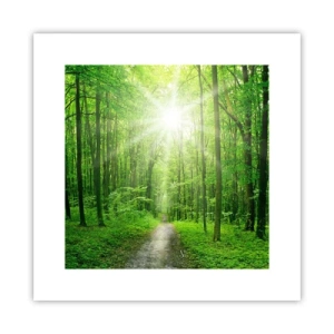 Pôster - Catedral Verde - 30x30 cm