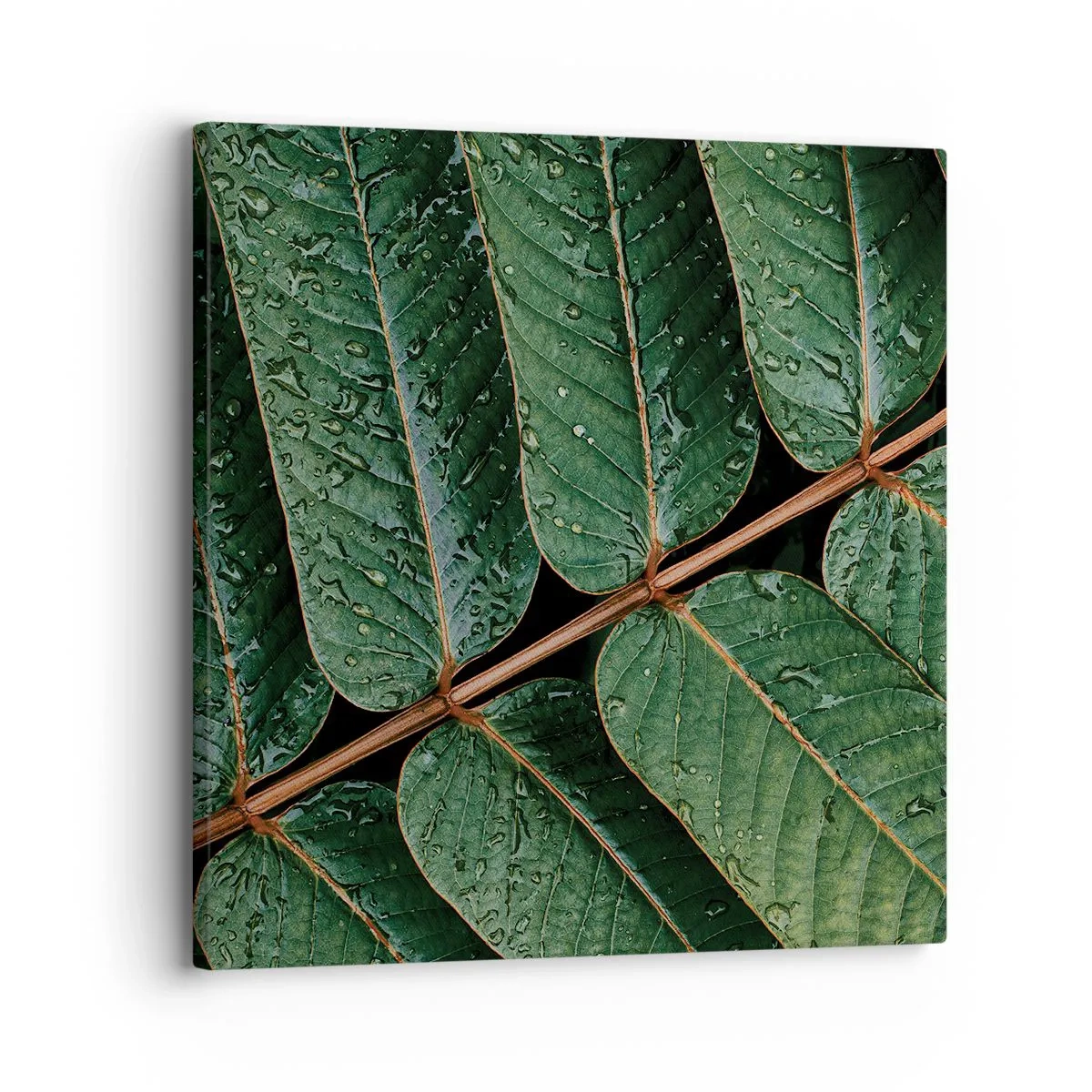 Quadro em tela - Num ritmo verde - 30x30 cm