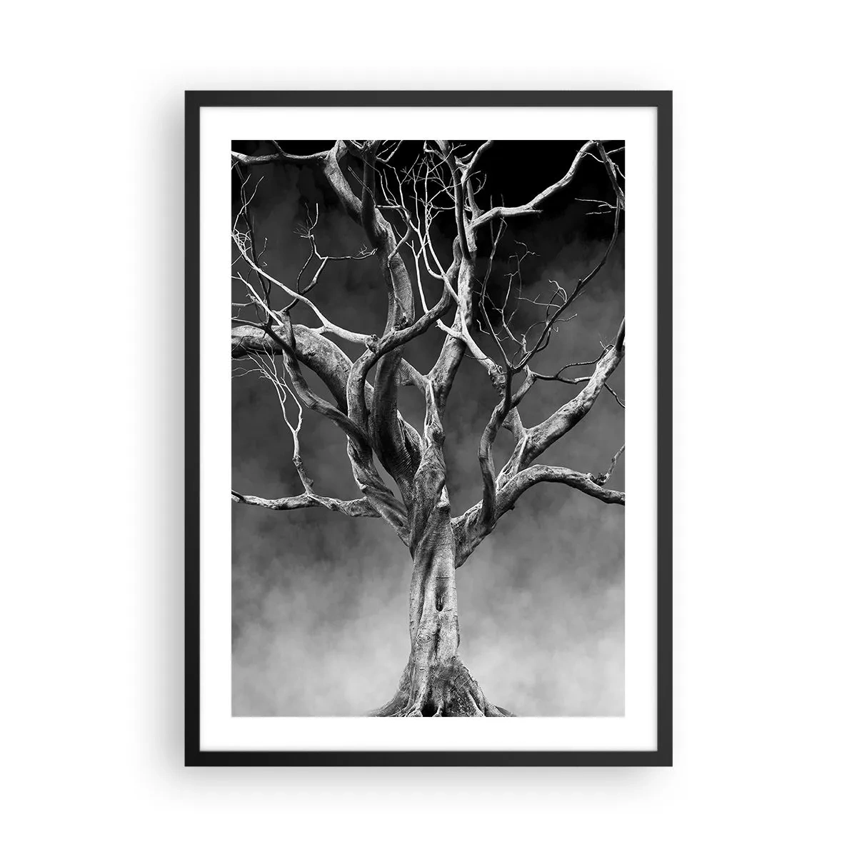 Pôster com moldura preta - Imagem em preto e branco de uma árvore contra um fundo de neblina - 50x70cm - Primitivo e sagrado - Decoração de parede moderna para a sala de estar e quarto ARTTOR