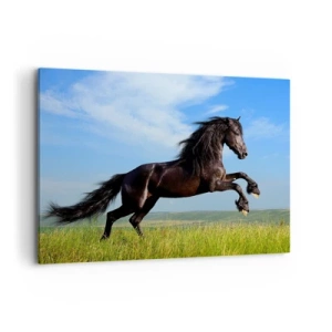 Quadro em tela - Um manifesto emocionante de liberdade  - 100x70 cm
