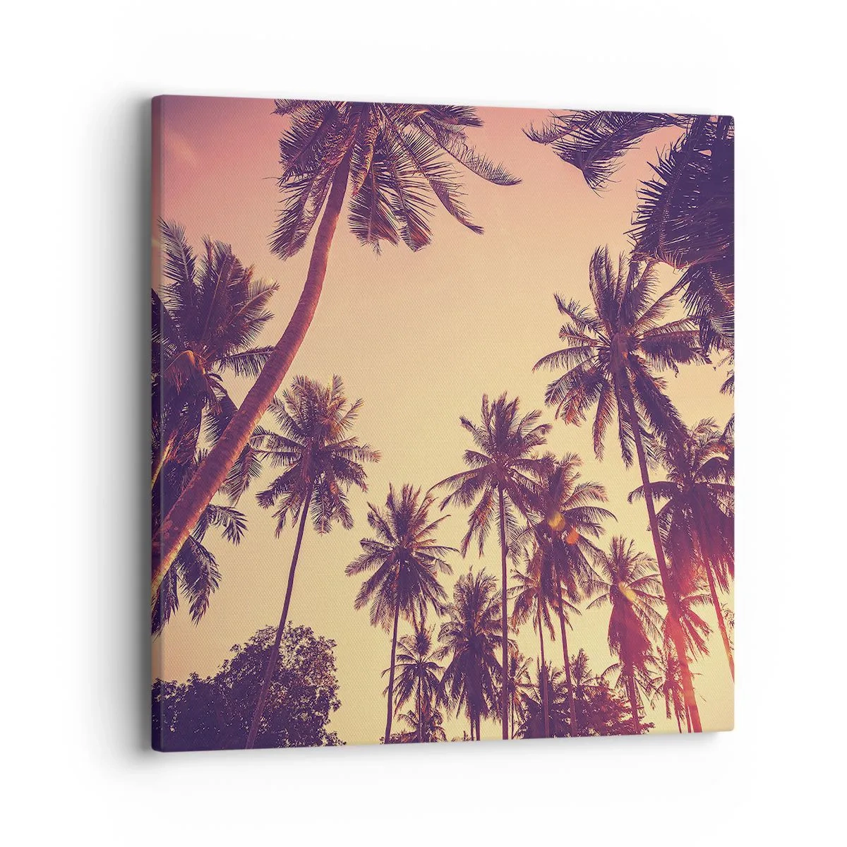 Quadro em tela - Variação tropical - 40x40 cm