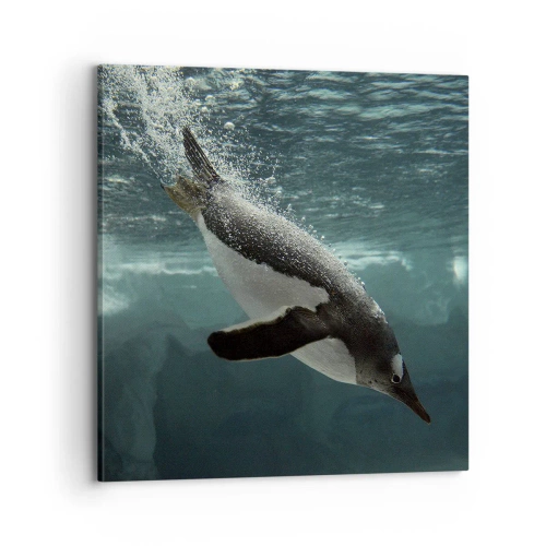 Quadro em tela - Bem-vindo ao meu mundo - 70x70 cm