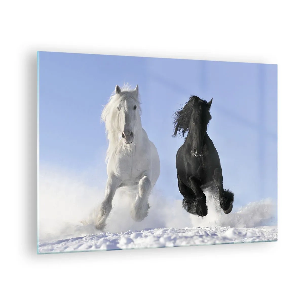 Quadro em vidro - Um cavalo preto e branco correndo pela neve em uma paisagem de inverno - 70x50cm - Galope preto e branco - Decoração de parede moderna para a sala de estar e quarto ARTTOR