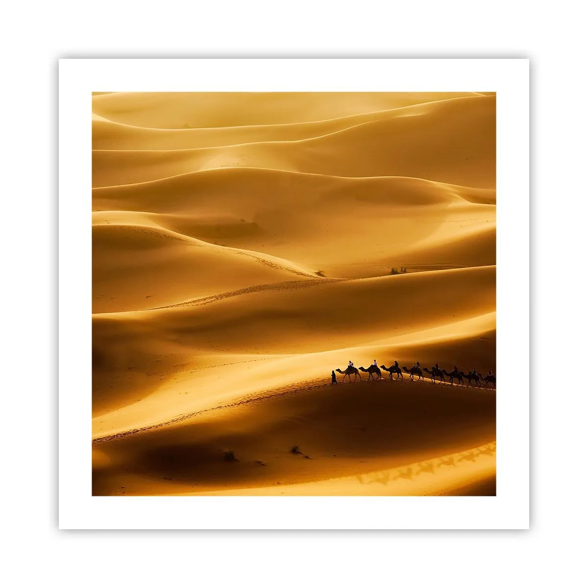 Pôster - Caravana nas ondas do deserto - 50x50 cm