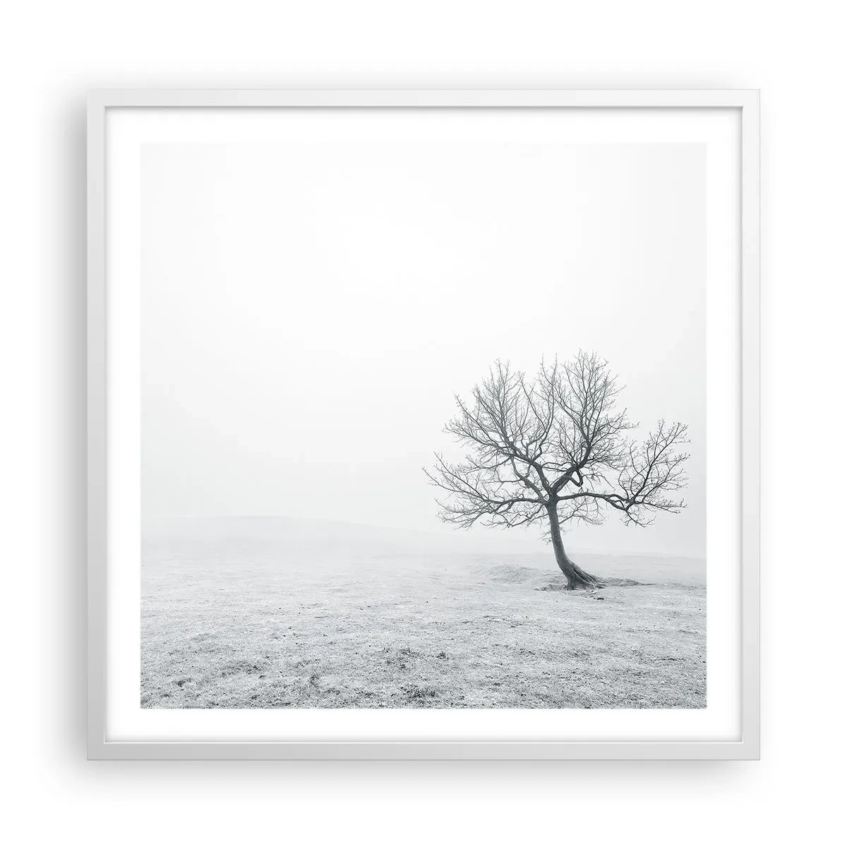 Pôster em moldura branca - Contra o nada - 60x60 cm