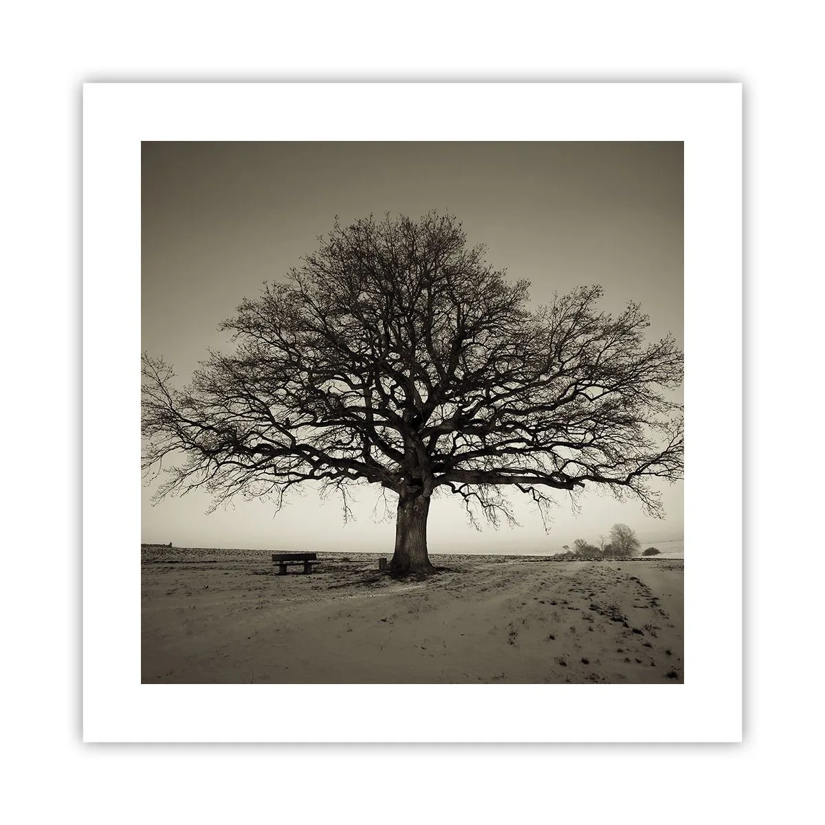 Pôster - Daqui para a eternidade - 40x40 cm