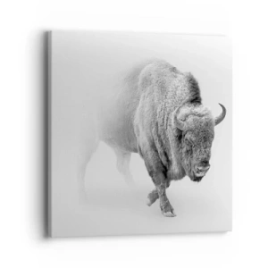 Quadro em tela - Rei da Pradaria - 40x40 cm