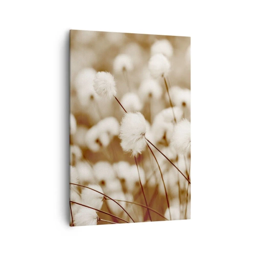 Quadro em tela - Campos felpudos - 70x100 cm