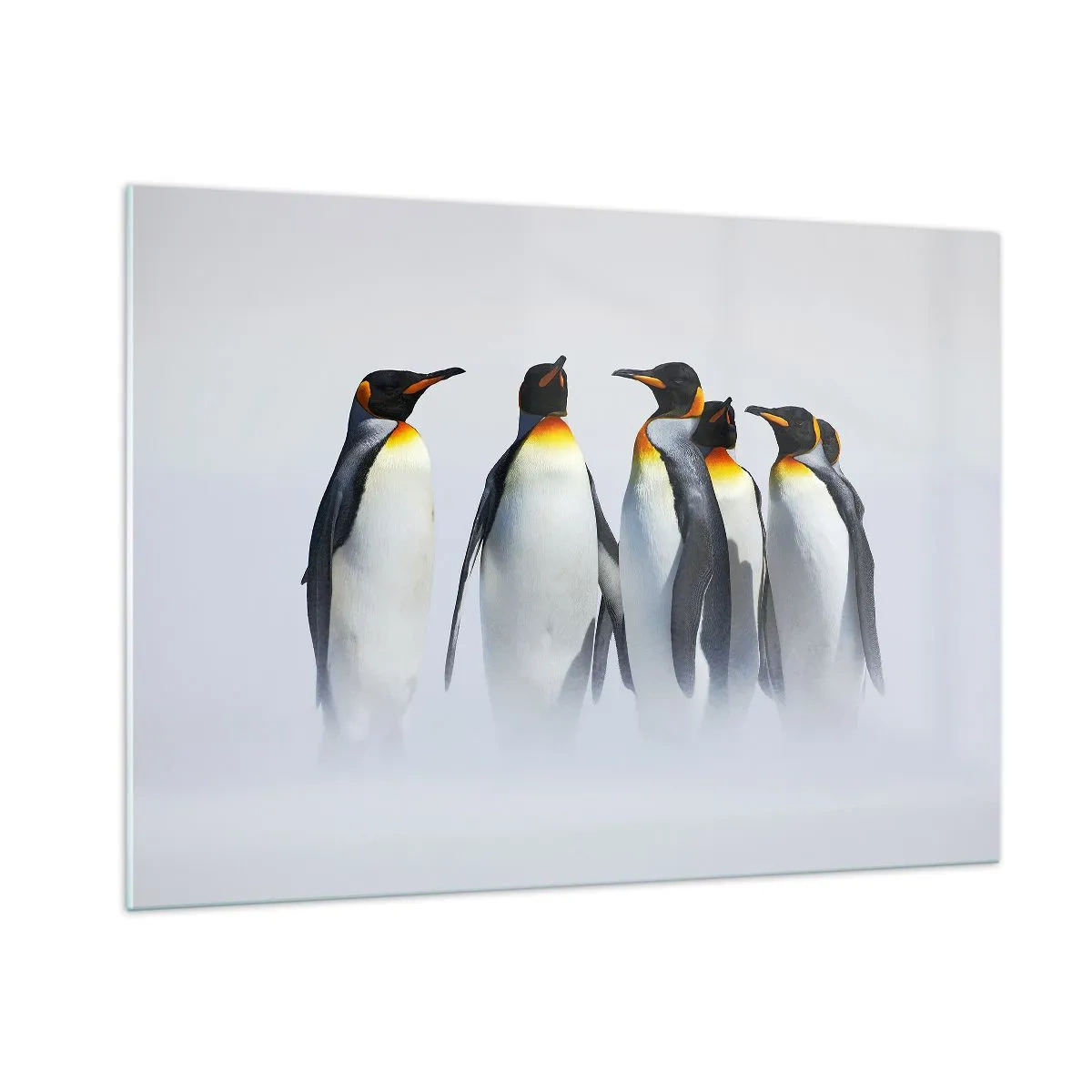 Quadro em vidro - Reunião em traje de gala - 100x70 cm