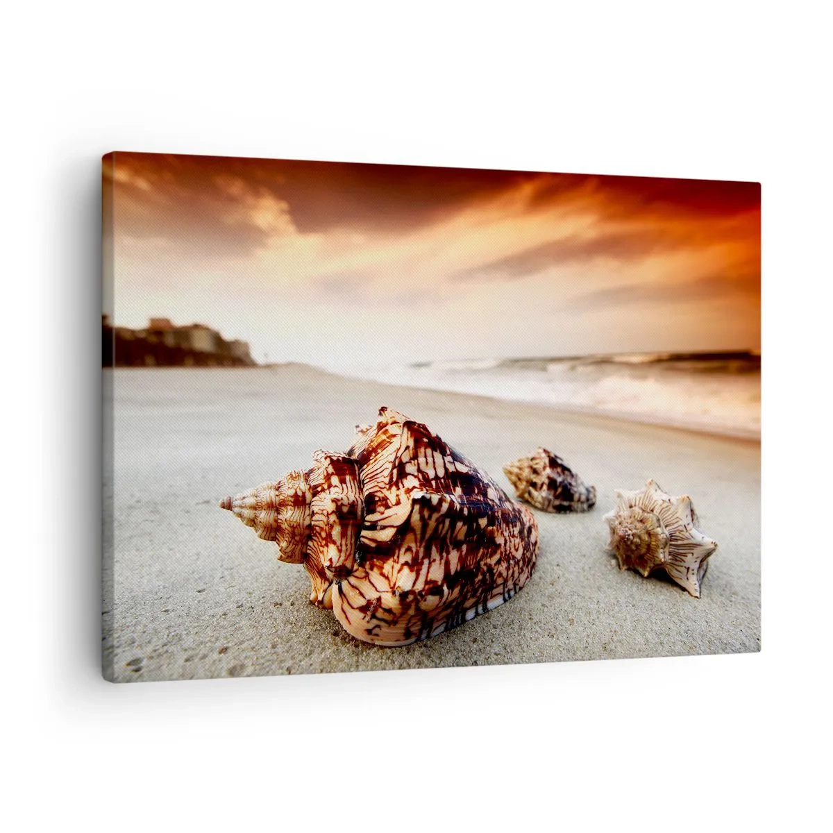Quadro em tela - Conchas na praia ao pôr do sol - 70x50cm - Expulso pelas ondas - Decoração de parede moderna para a sala de estar e quarto ARTTOR