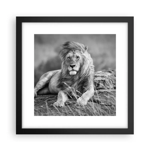 Pôster com moldura preta - Sesta real - 30x30 cm