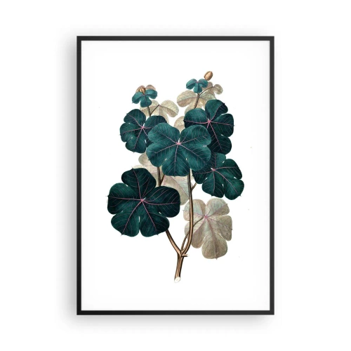 Pôster com moldura preta - Do antigo herbário - 70x100 cm