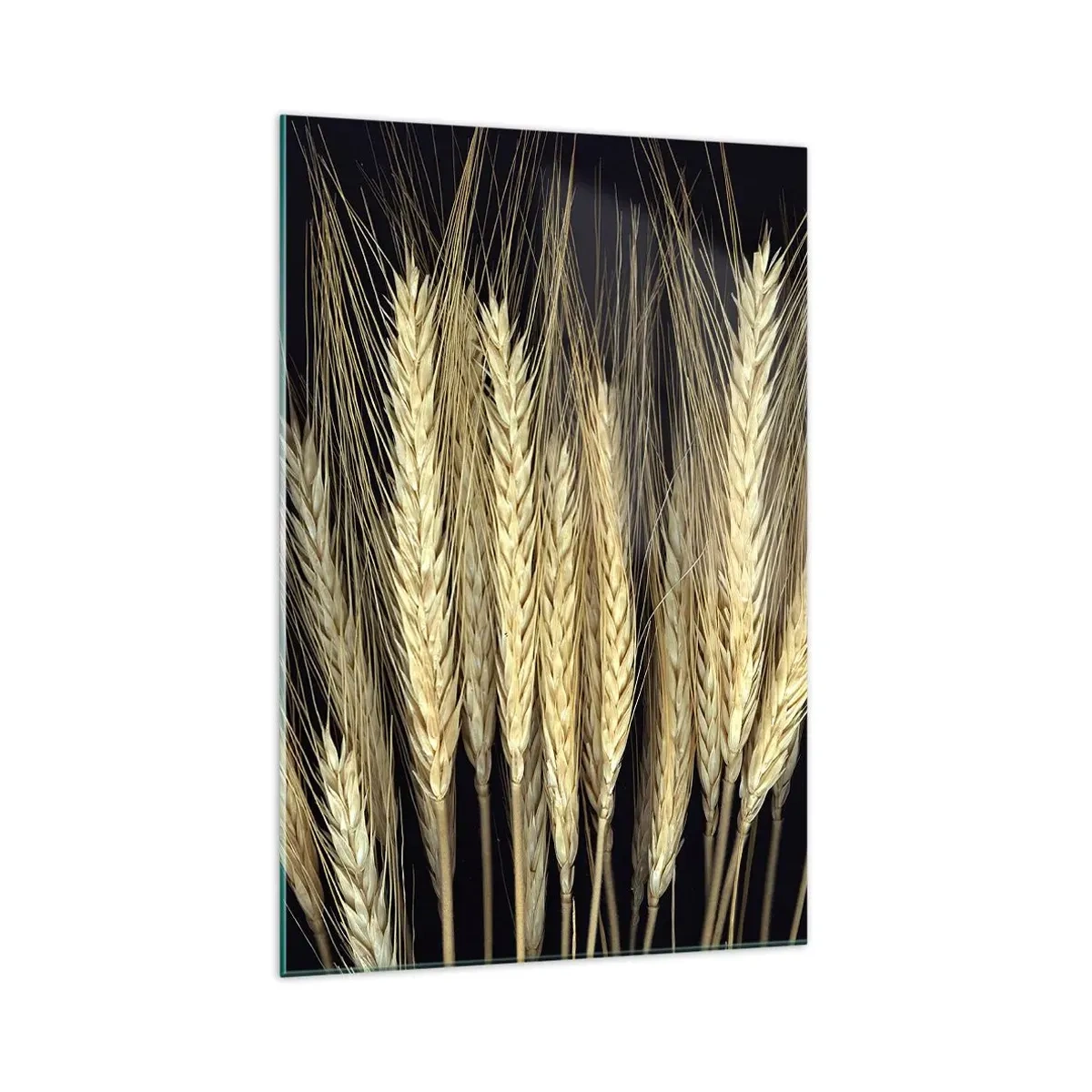 Quadro em vidro - Magia rústica - 70x100 cm