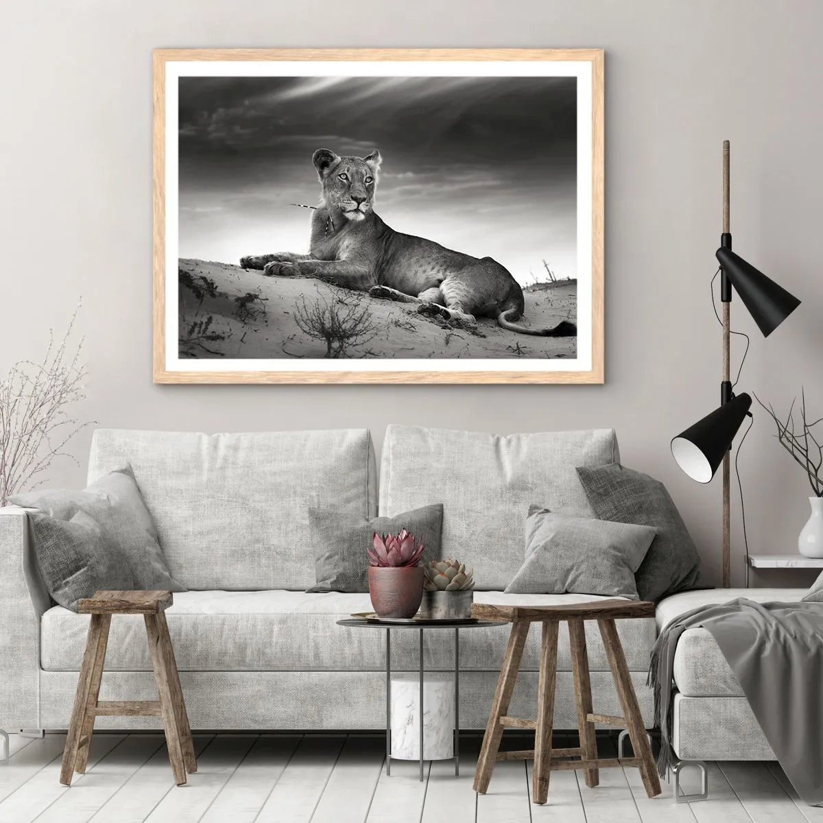 Pôster com moldura de carvalho claro - Descanso da Rainha do Deserto - 70x50 cm