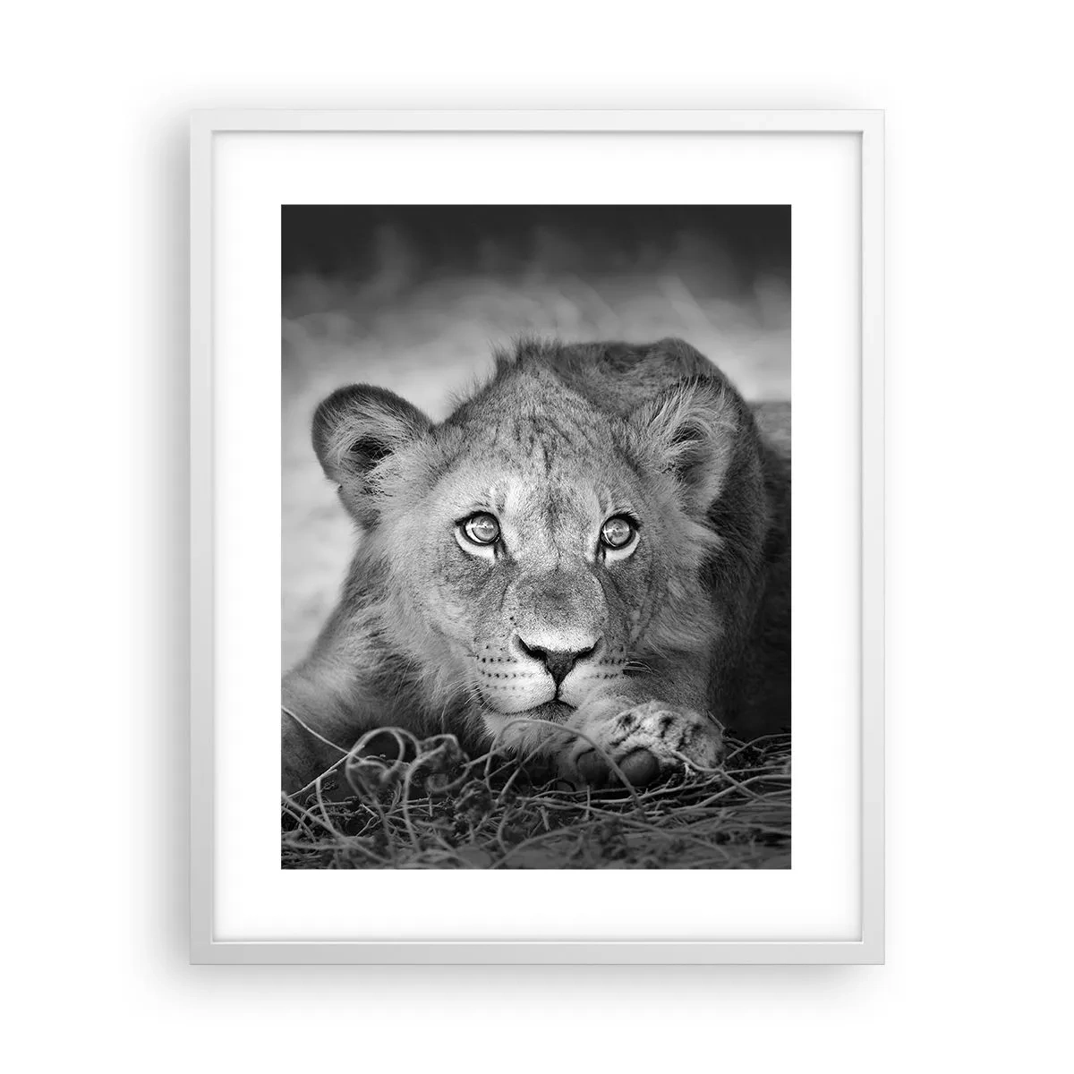 Pôster em moldura branca - Cachorro real - 40x50 cm