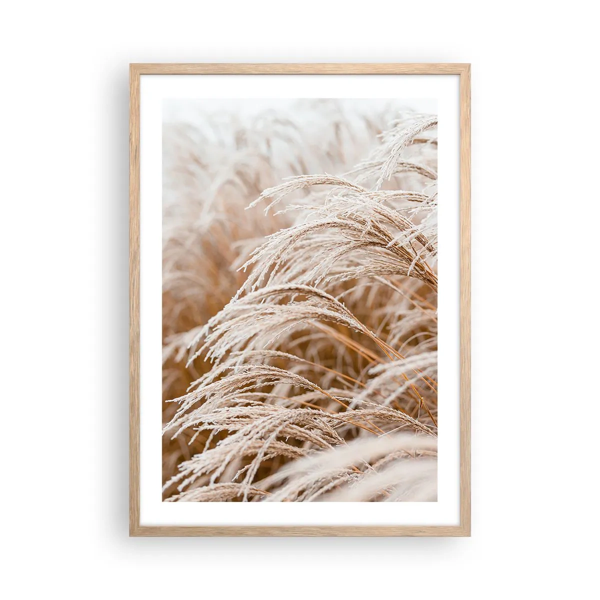 Pôster com moldura de carvalho claro - Curvar-se ao sol de outono - 50x70 cm