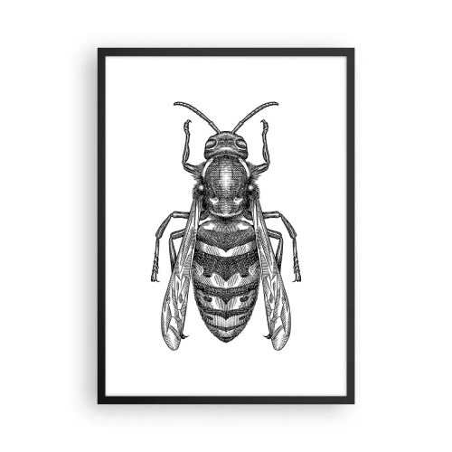 Pôster com moldura preta - Ilustração detalhada de uma vespa - 50x70cm - De um planeta de insetos - Decoração de parede moderna para a sala de estar e quarto ARTTOR