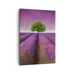 Quadro em tela - Nos campos de lavanda - 50x70 cm