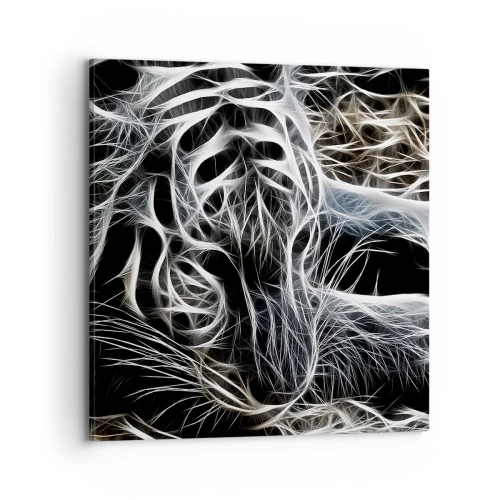 Quadro em tela - Um estudo da leveza do gato - 70x70 cm