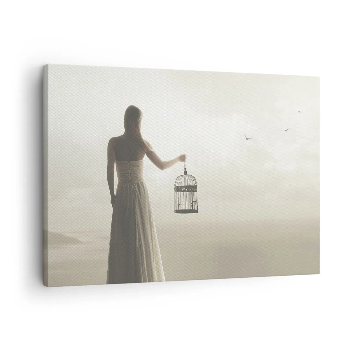Quadro em tela - Uma mulher com uma gaiola contra um céu calmo - 70x50cm - Seja livre - Decoração de parede moderna para a sala de estar e quarto ARTTOR