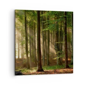 Quadro em tela - Radiante em uma manhã de primavera - 50x50 cm