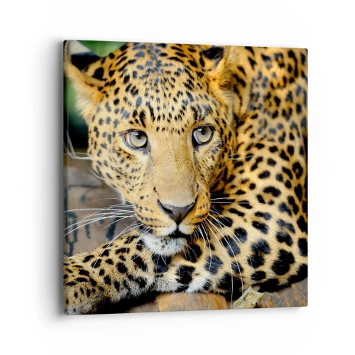 Quadro em tela - Não tenha medo, venha - 40x40 cm