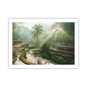 Pôster - Crescer ao sol - 70x50 cm