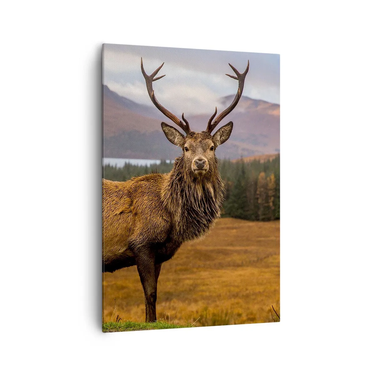 Quadro em tela - A majestade da natureza - 70x100 cm