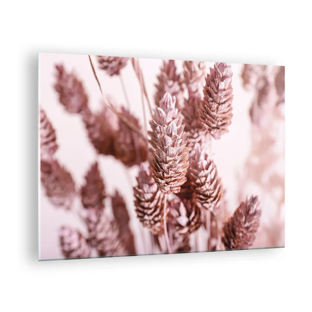 Quadro em vidro - Espigas de capim seco em tons de rosa claro - 70x50cm - Aparentemente discreto - Decoração de parede moderna para a sala de estar e quarto ARTTOR