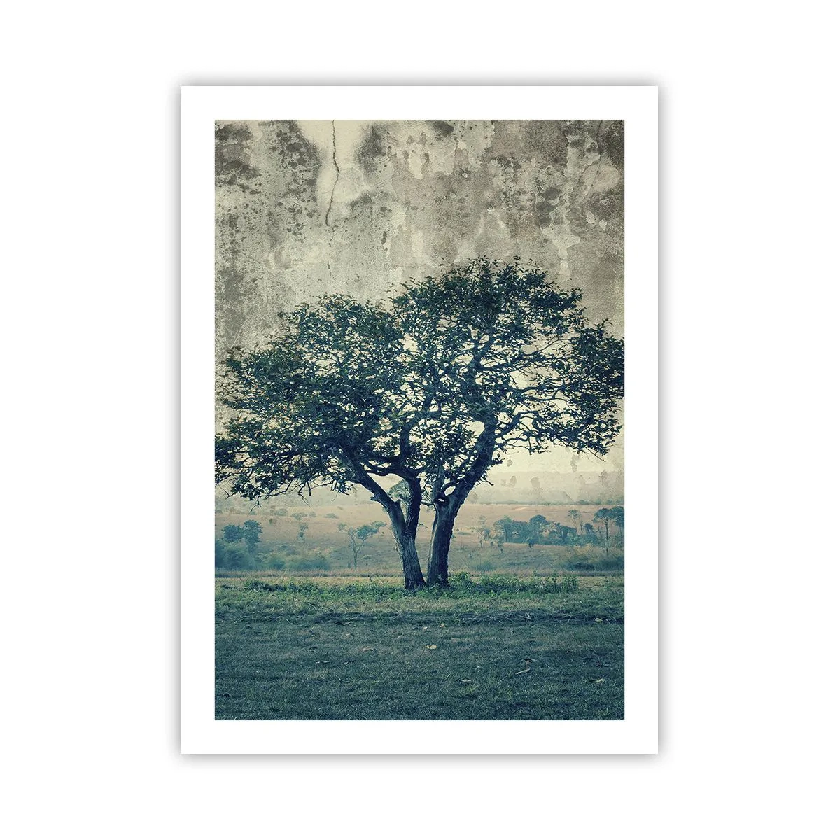 Pôster - Uma macieira num prado azul? - 50x70 cm