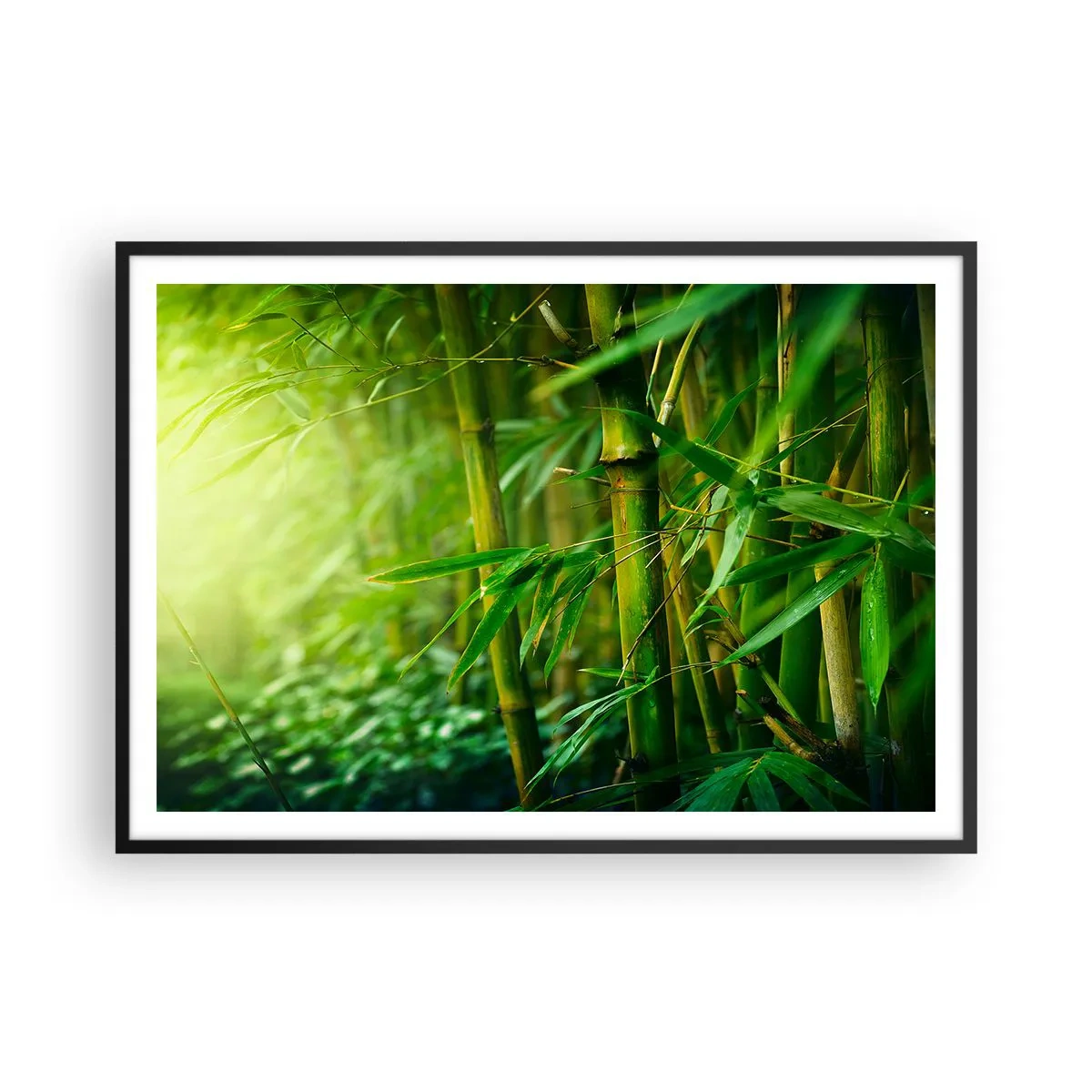 Pôster com moldura preta - Conheça a vegetação - 100x70 cm