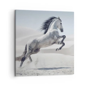 Quadro em tela - Príncipe árabe - 50x50 cm