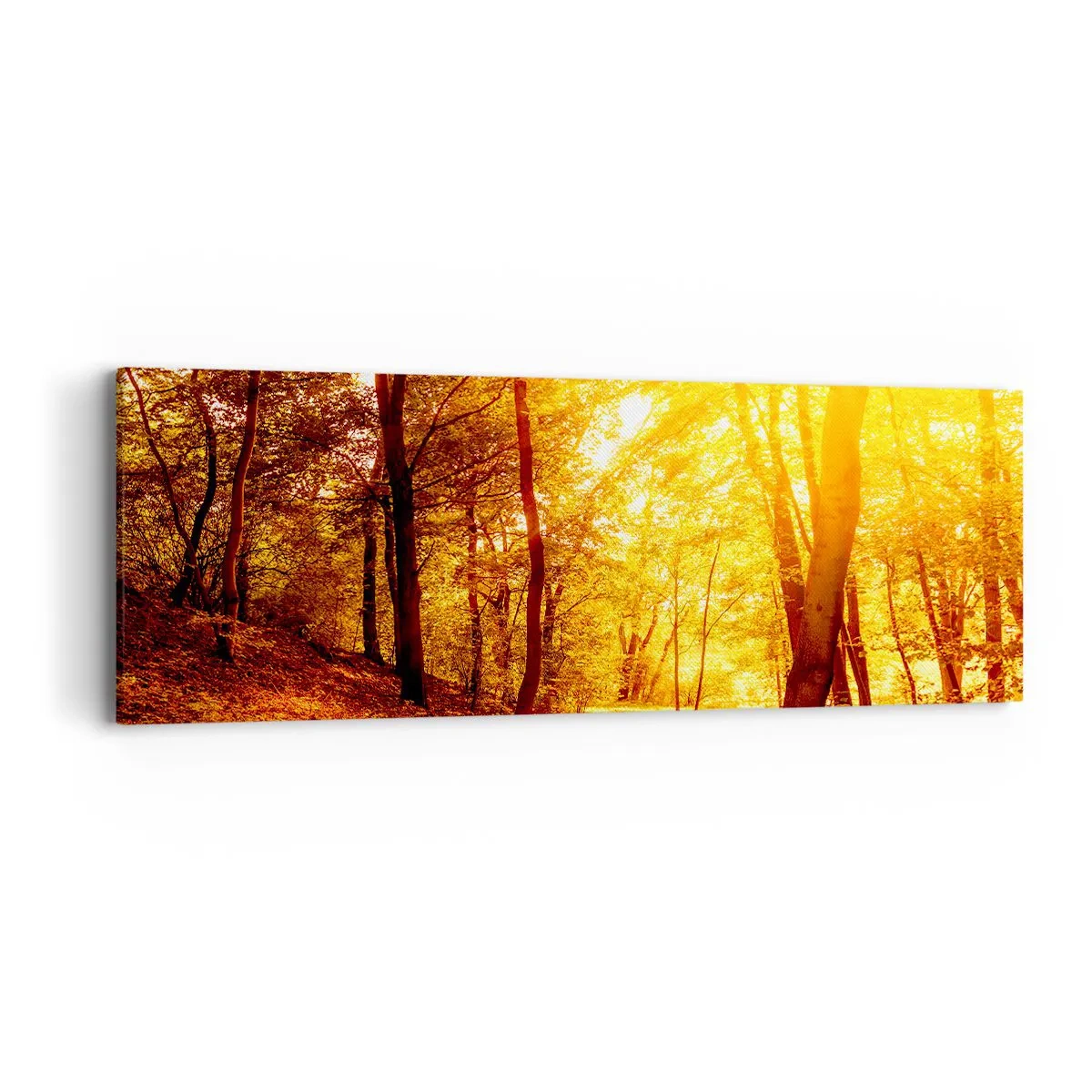 Quadro em tela - Rumo à clareira dourada - 90x30 cm