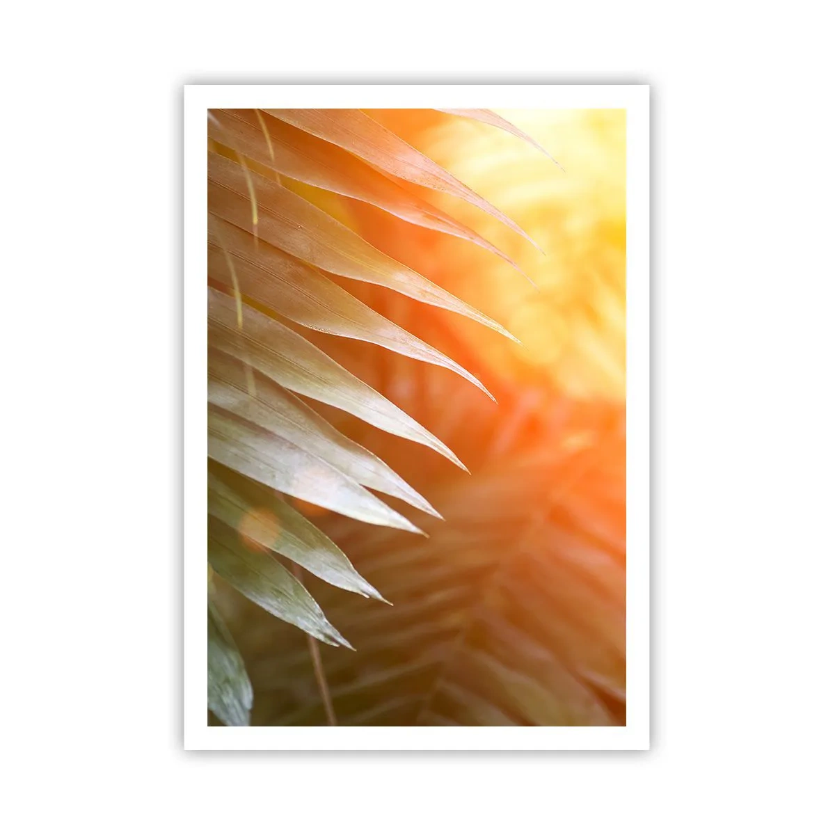 Pôster - Manhã na selva - 70x100 cm