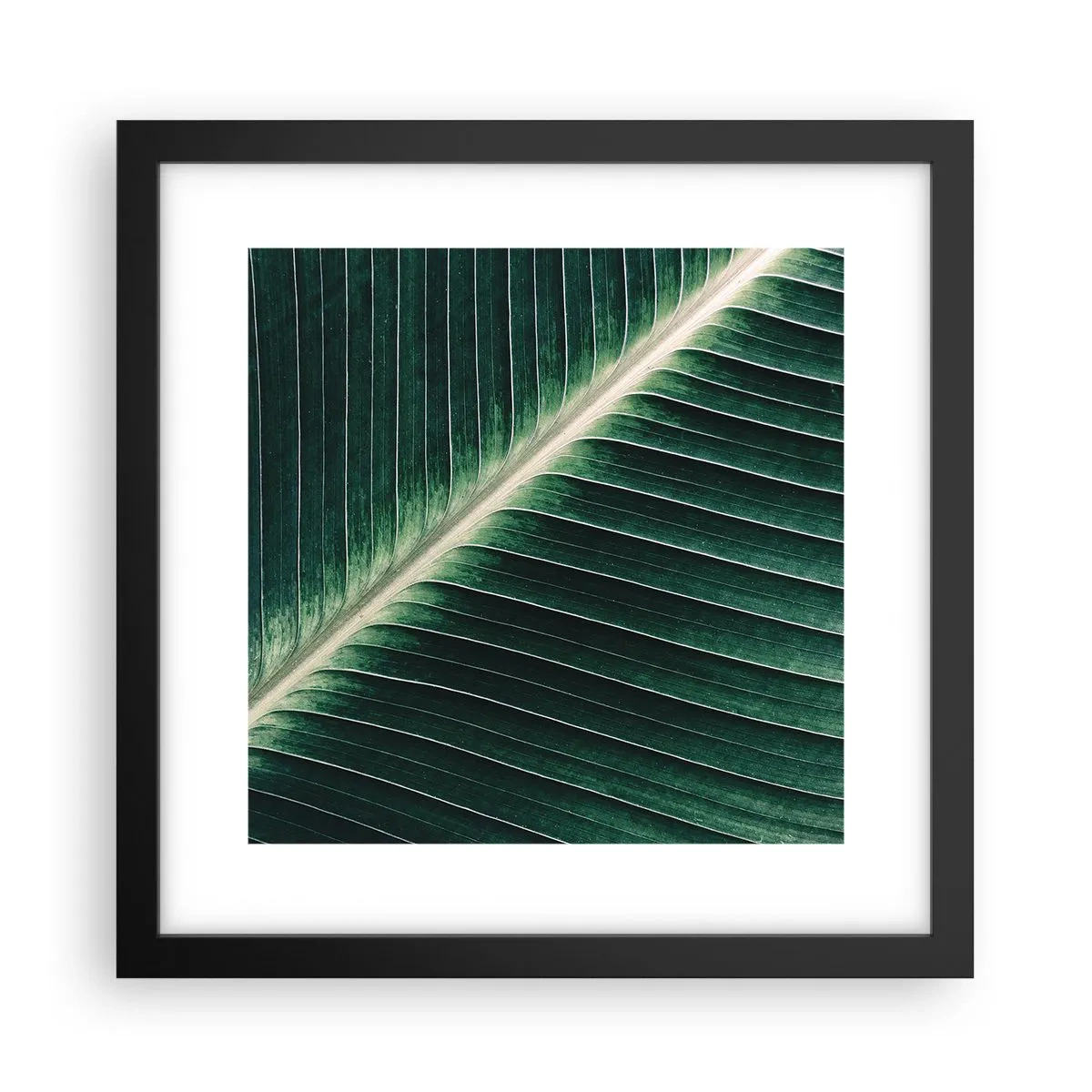 Pôster com moldura preta - O ritmo da natureza - 30x30 cm
