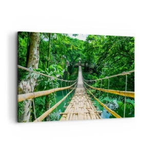 Quadro em tela - Ponte de macacos sobre a vegetação - 120x80 cm