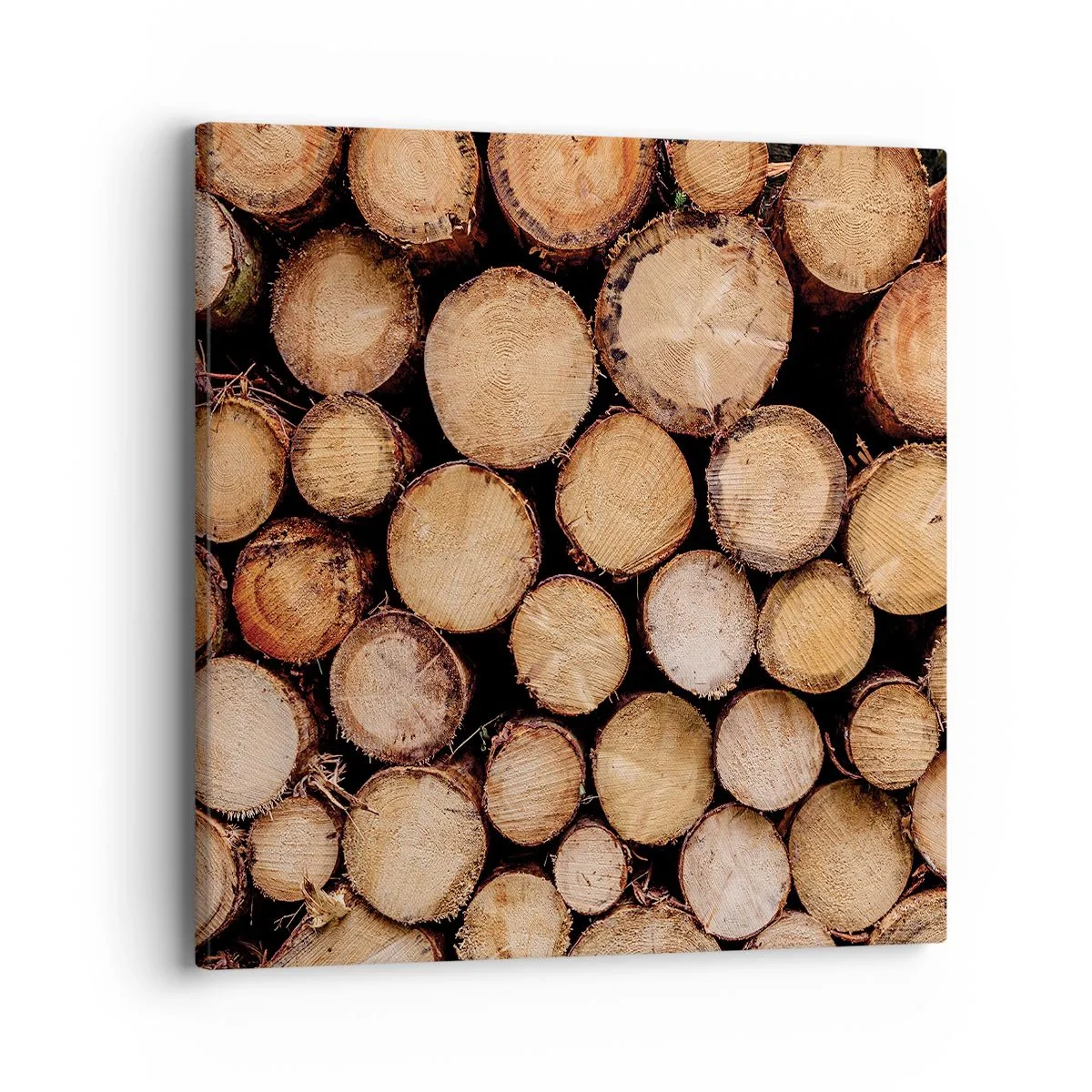 Quadro em tela - Um novo começo - 40x40 cm