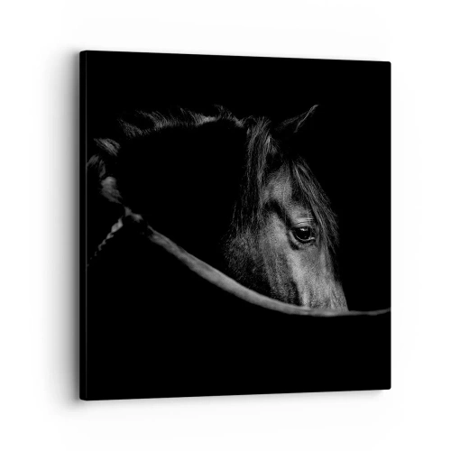 Quadro em tela - Príncipe Negro - 30x30 cm