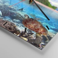 Mostrador com traços