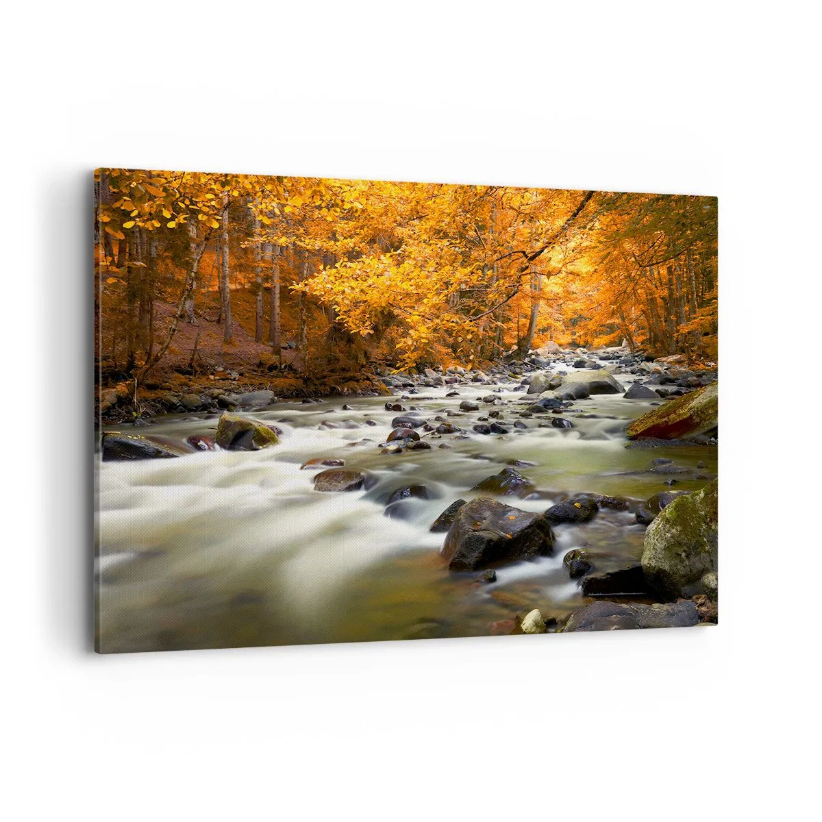 Quadro em tela - Um riacho na floresta dourada - 120x80 cm