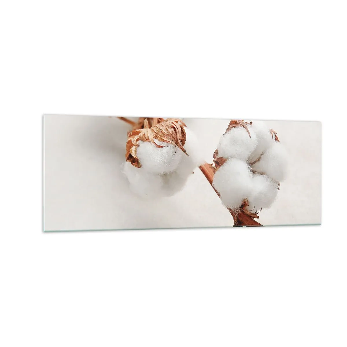 Quadro em vidro - Apenas acaricie - 140x50 cm