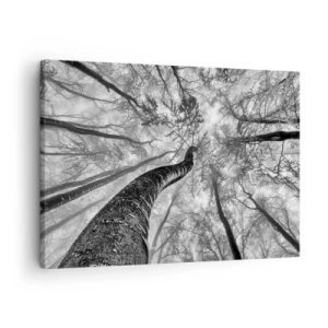 Quadro em tela - Perspectiva de árvores em uma floresta vista de baixo em tons de cinza - 70x50cm - Corrida até a luz - Decoração de parede moderna para a sala de estar e quarto ARTTOR