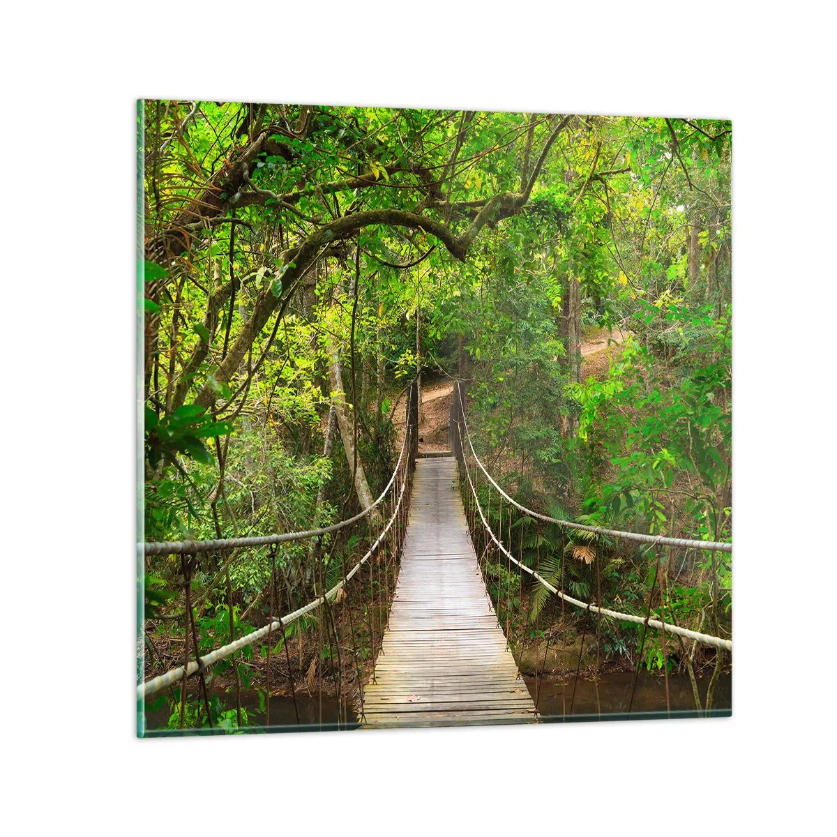 Quadro em vidro - Porque há uma videira a crescer no jardim - 40x40 cm
