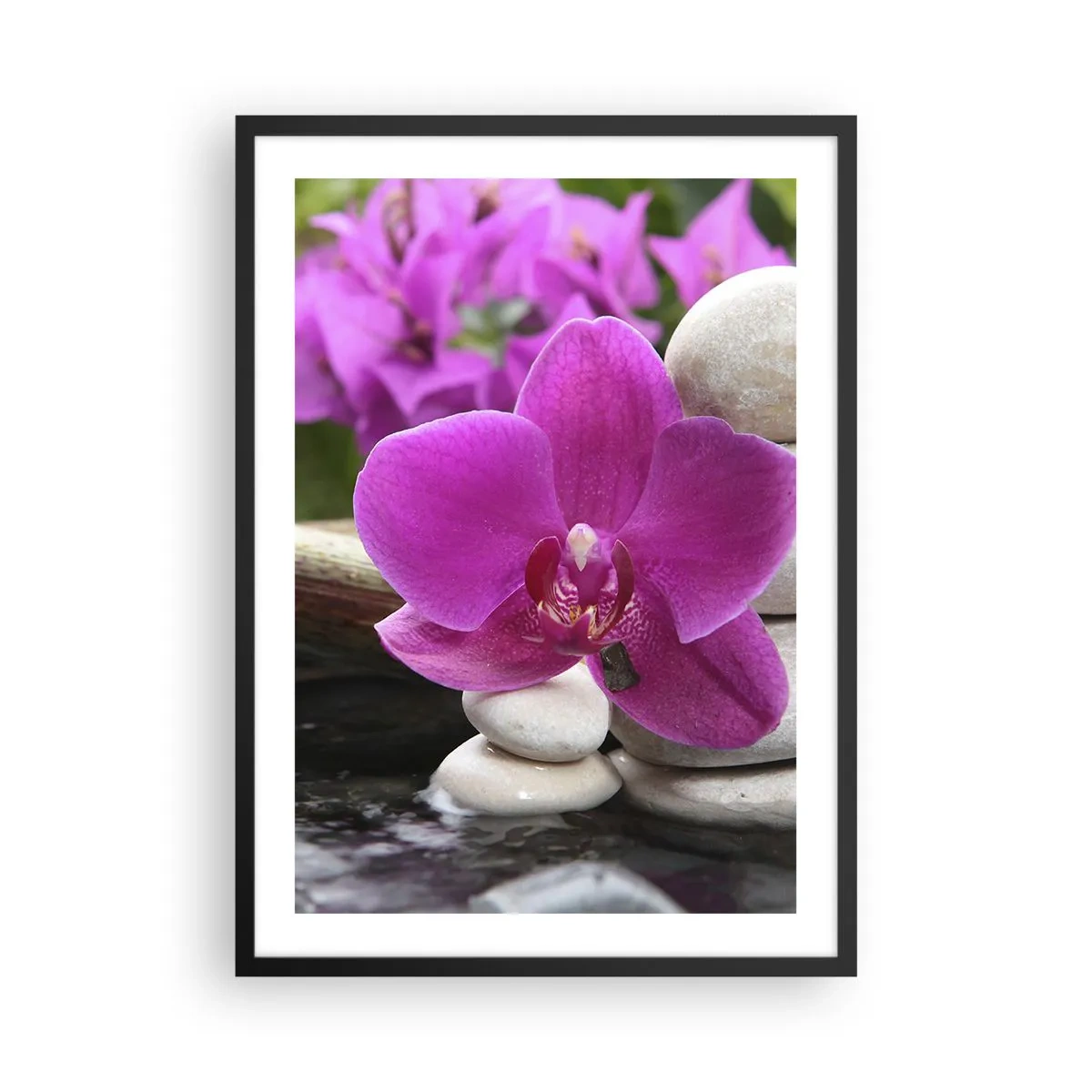 Pôster com moldura preta - Uma orquídea roxa sobre um fundo de pedras em um arranjo harmonioso - 50x70cm - Descanso imediato - Decoração de parede moderna para a sala de estar e quarto ARTTOR