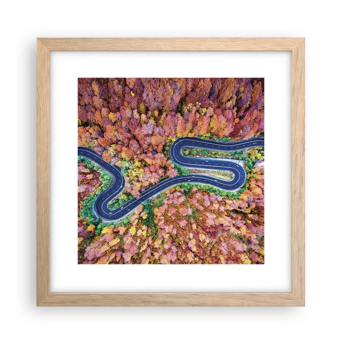 Pôster com moldura de carvalho claro - Estrada sinuosa pela floresta - 30x30 cm
