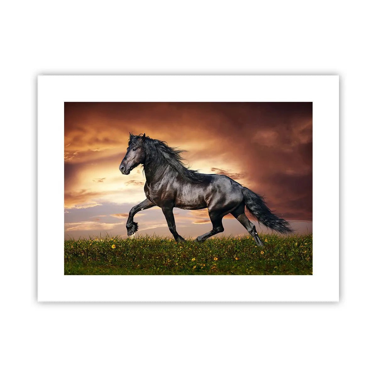 Pôster - O Príncipe Negro - 40x30 cm